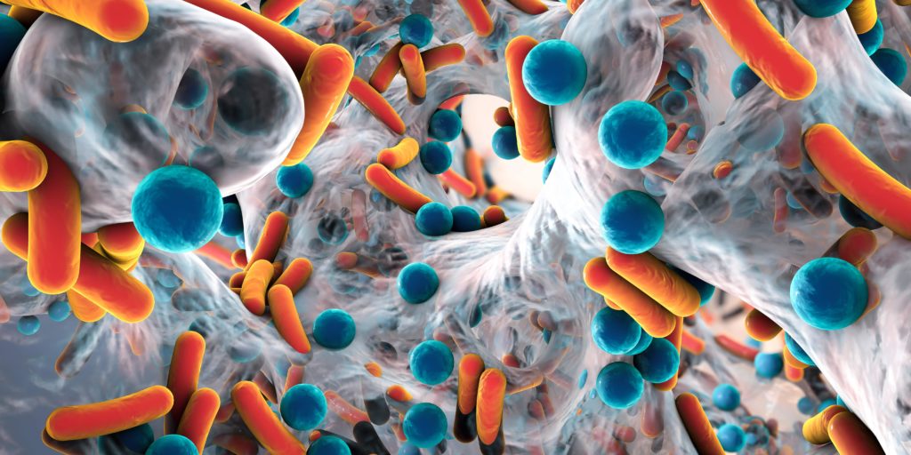 Biofilm